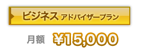 ビジネスアドバイザープラン　15,000円