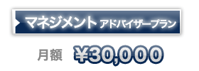 マネジメントアドバイザー　月額30,000円